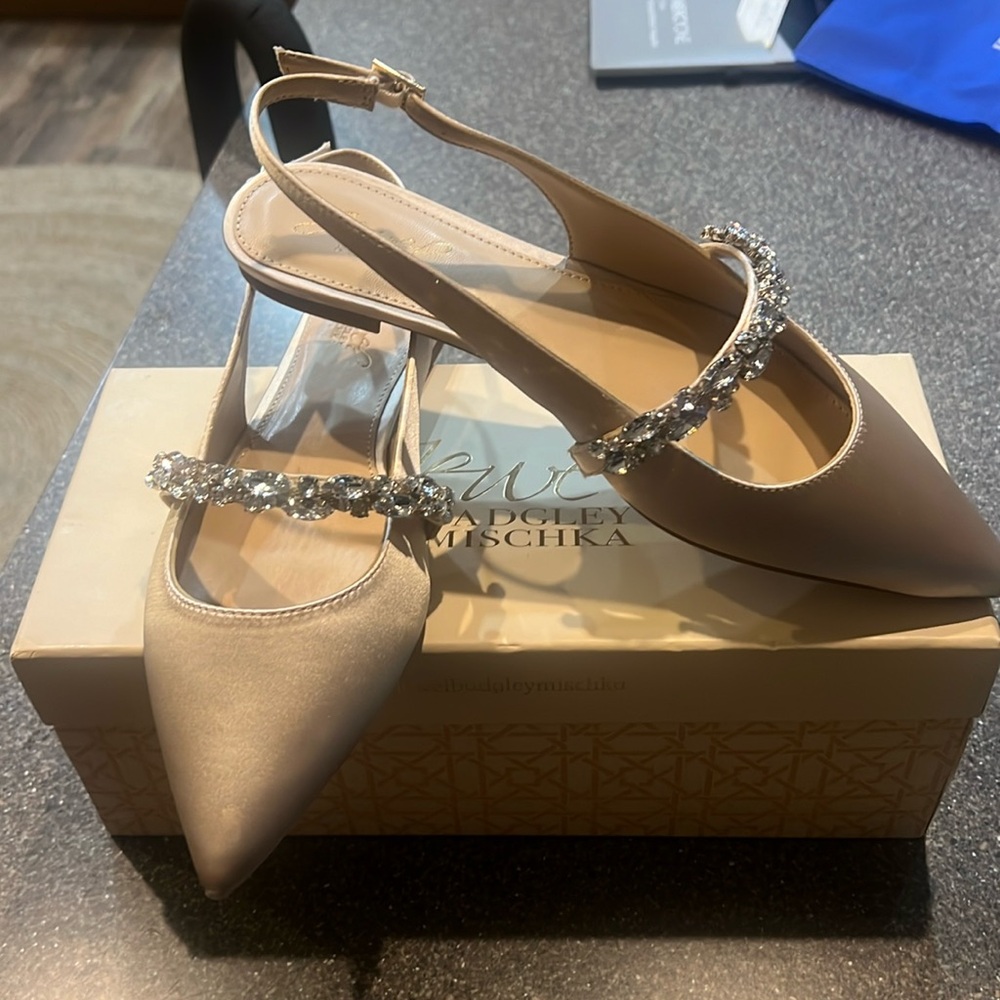 Still available! Bagdley Mischka shoes, Jewel Collection. Size 8. Pale pink.